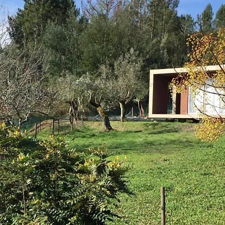Adore Portugal Bungalow Natureza & Vista De Serra Lousã Esterno foto