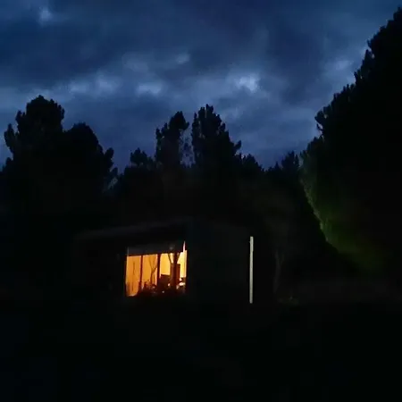 Adore Portugal Bungalow Natureza & Vista De Serra Lousã Esterno foto