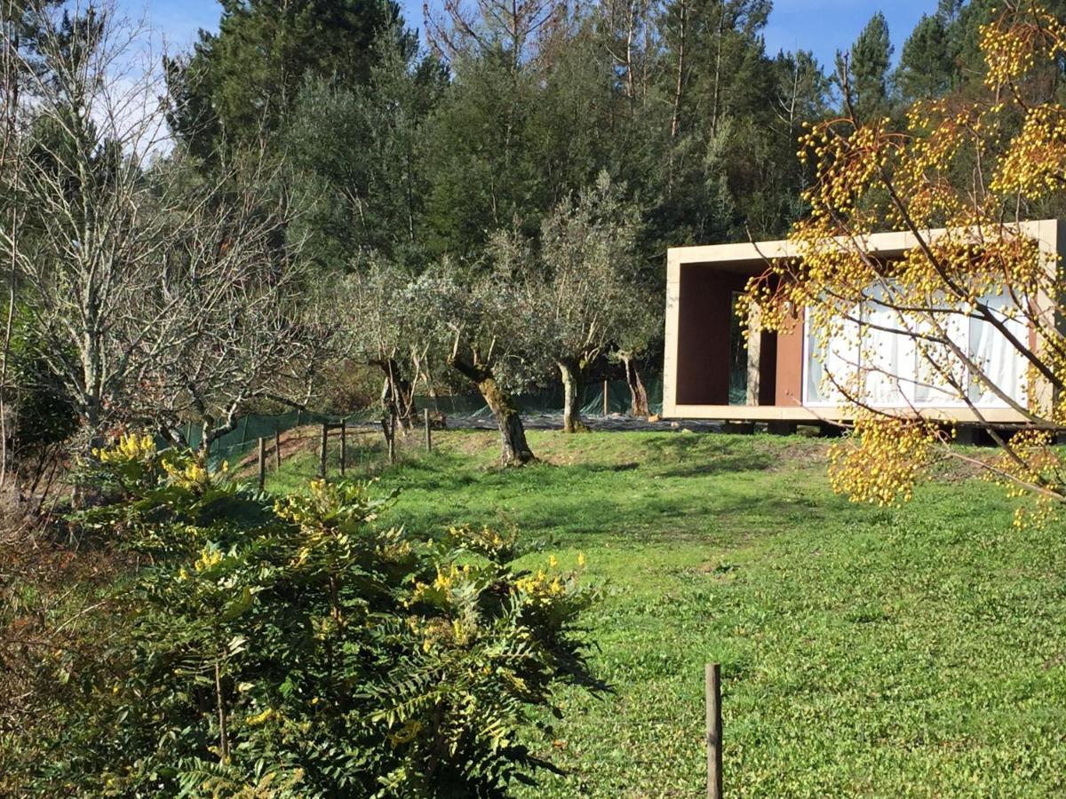 Adore Portugal Natureza&vista De Serra Lodge Lousã